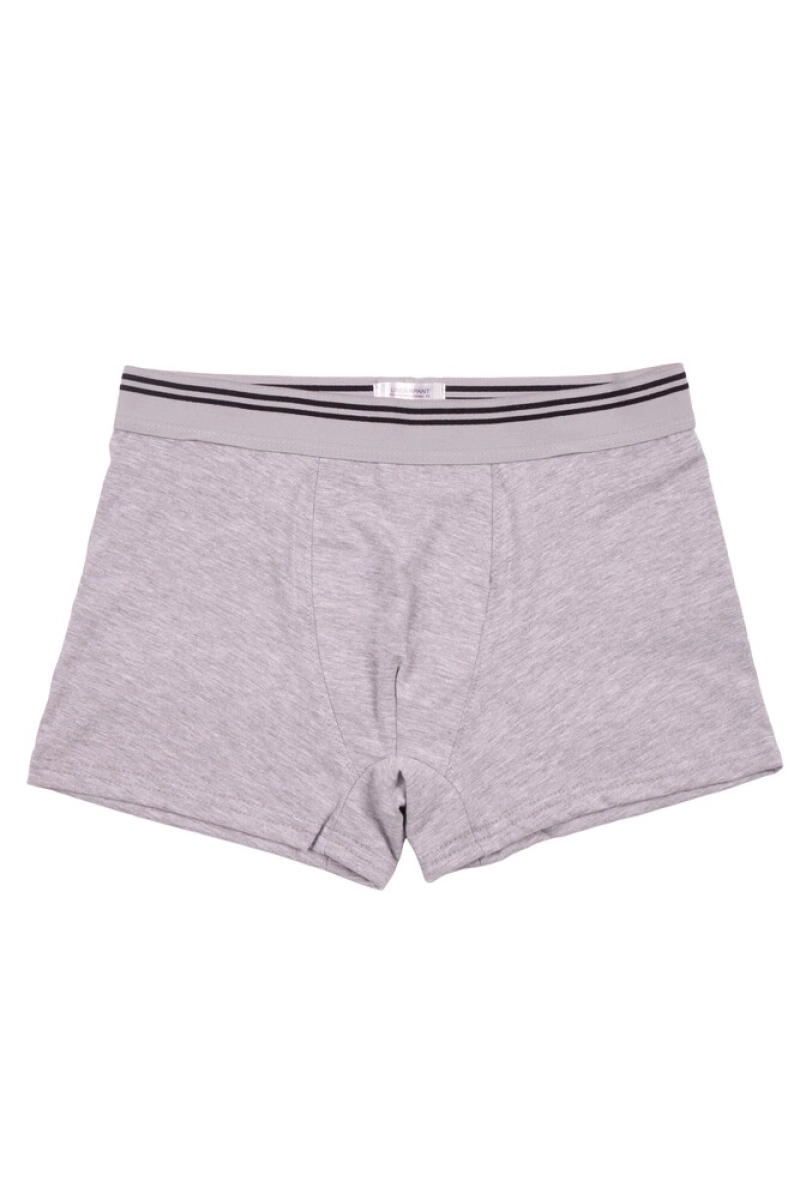 Трусы "Боксеры",серые, трикотаж